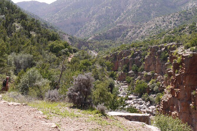 From Agadir Hotel or Port : Paradise Valley Trip - Price and Value: Is it Worth It?