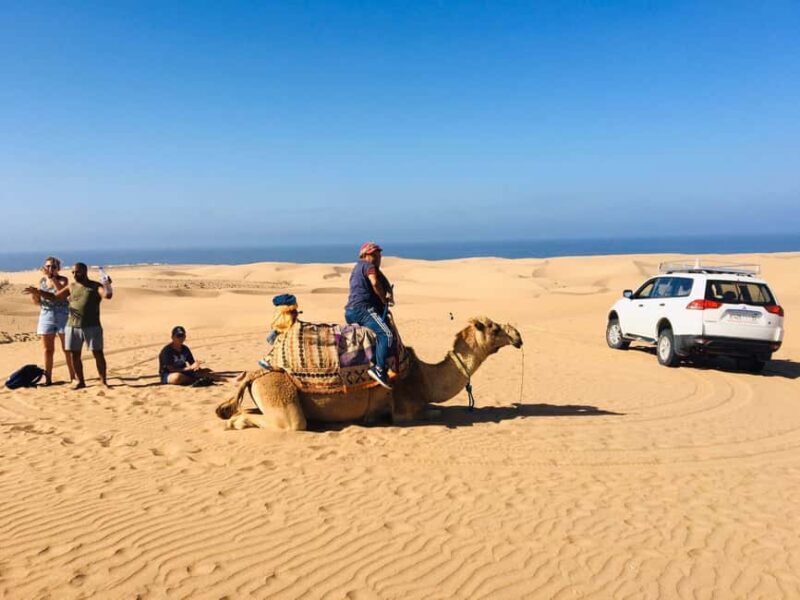 From Agadir: Mini Sahara Day Tour with Lunch - Key Points
