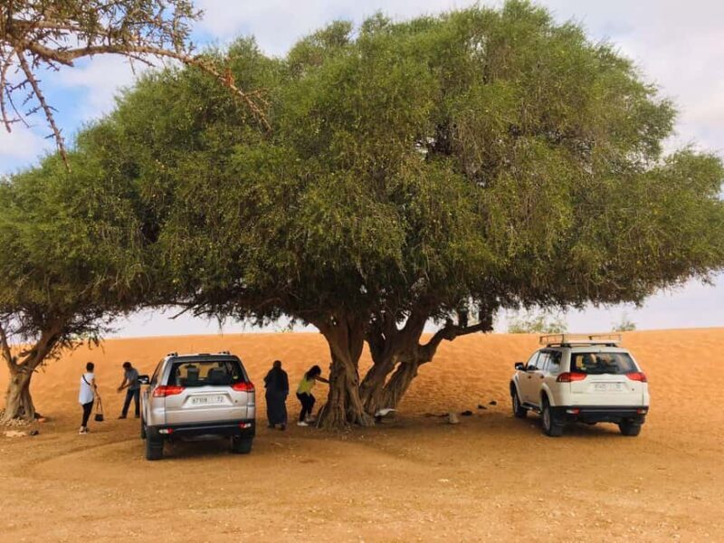 From Agadir: Mini Sahara Day Tour with Lunch - Practical Tips for Your Day Trip