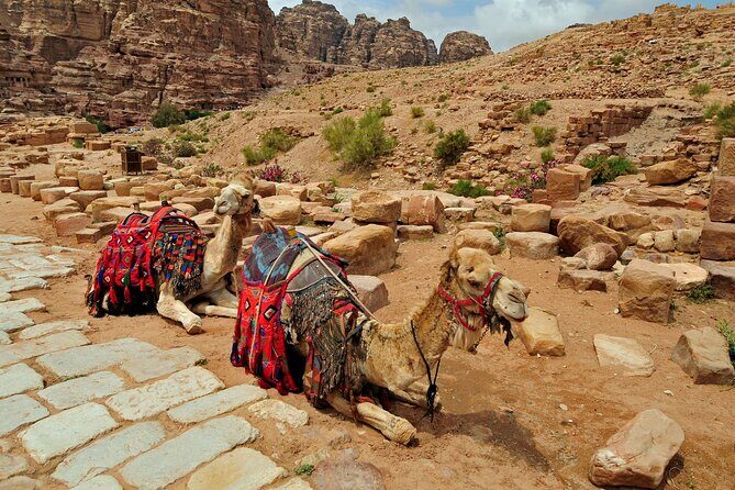 From Agadir or Port Trip to Small Sahara of Massa and Tiznit with Lunch - The Sum Up
