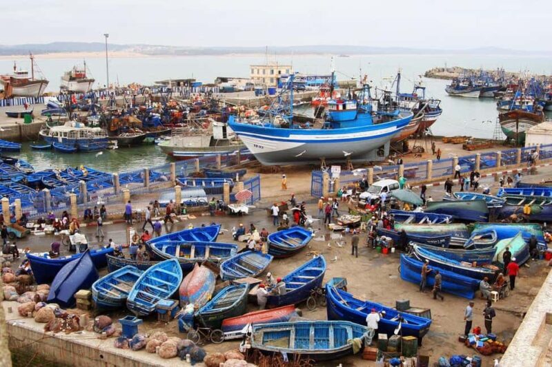 From Agadir or Taghazout : Essaouira Day Trip - From Agadir or Taghazout: Essaouira Day Trip