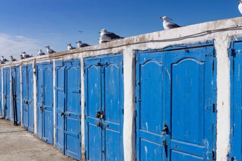 From Agadir or Taghazout: Essaouira Day Trip with Transfer - Who Should Consider This Tour?