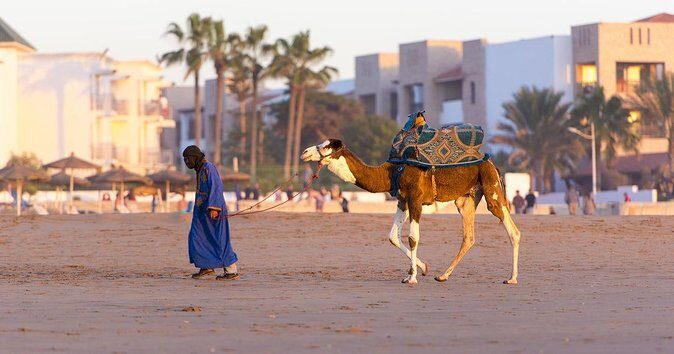 From Agadir or Taghazout or Port 2 Hours Camel Ride - Why Choose a Camel Ride in Agadir?