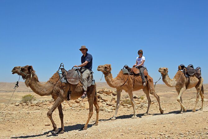 From Agadir or Taghazout or Port 2 Hours Camel Ride - Authenticity and Cultural Touches