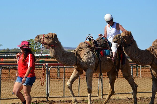 From Agadir or Taghazout or Port 2 Hours Camel Ride - Potential Drawbacks and Considerations