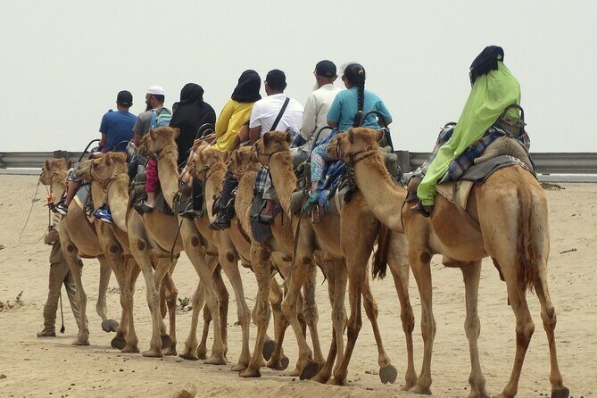 From Agadir or Taghazout or Port 2 Hours Camel Ride - Who Will Enjoy This Tour?