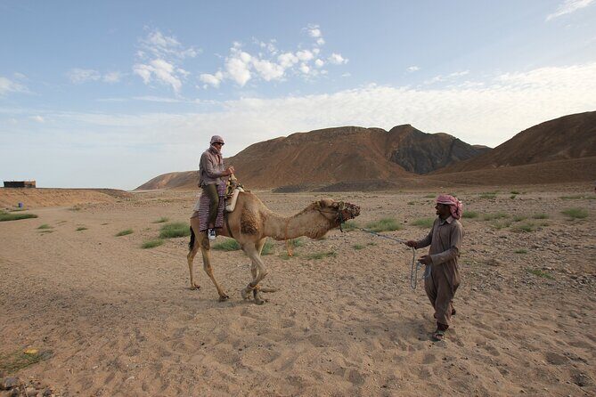 From Agadir or Taghazout or Port 2 Hours Camel Ride - FAQ: Practical Questions About the Camel Ride in Agadir