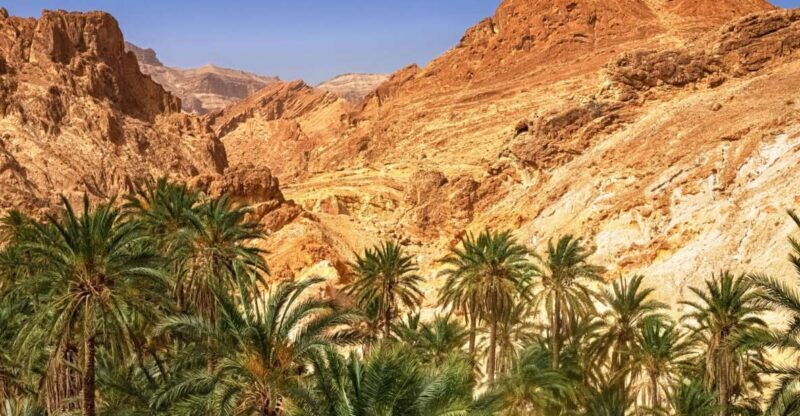 From Agadir or Taghazout: Paradise Valley Natural Atlas Tour - The Real-World Experience: What Travelers Say