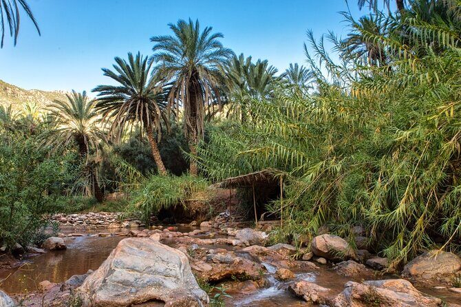 from agadir : paradise-valley 1/2 day - Final Thoughts