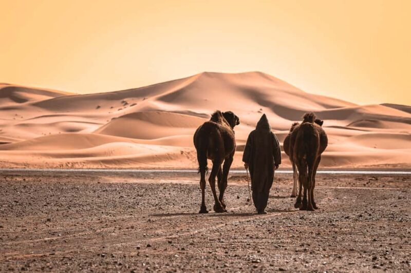 From Agadir : Private 2 Days Sahara Tour to Zagora Desert - Final Thoughts: Is This Tour Right for You?