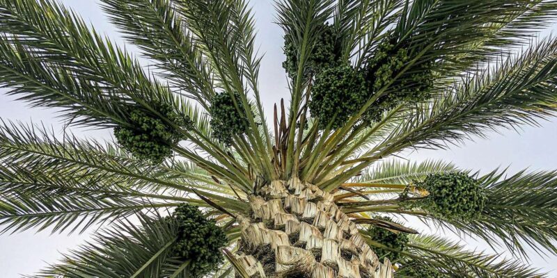 From Agadir: Private 4-Days To Marrakech Via Merzouga Desert - Key Points