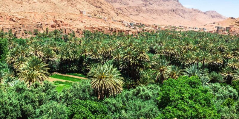From Agadir: Private 4-Days To Marrakech Via Merzouga Desert - Final Thoughts