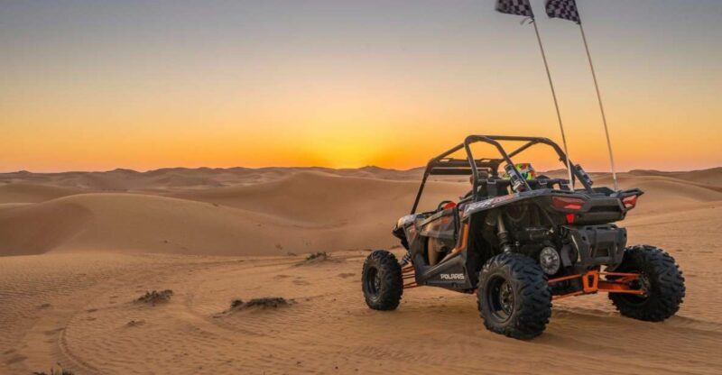 From Agadir: Sahara Desert Buggy Tour with Snack & Transfer - Who Might Want to Consider Alternatives?