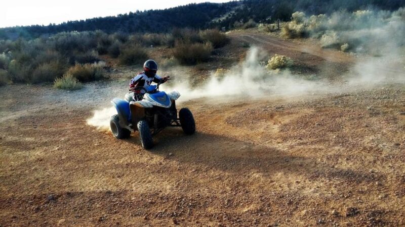 From Agadir: Sahara Desert Buggy Tour with Snack & Transfer - An In-Depth Look at the Sahara Desert Buggy Tour