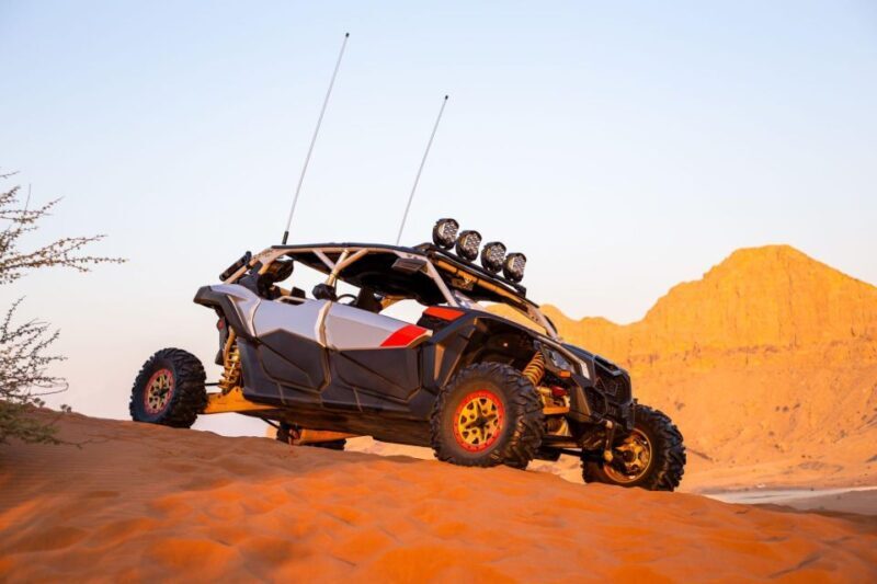 From Agadir: Sahara Desert Buggy Tour with Snack & Transfer - Frequently Asked Questions (FAQs)