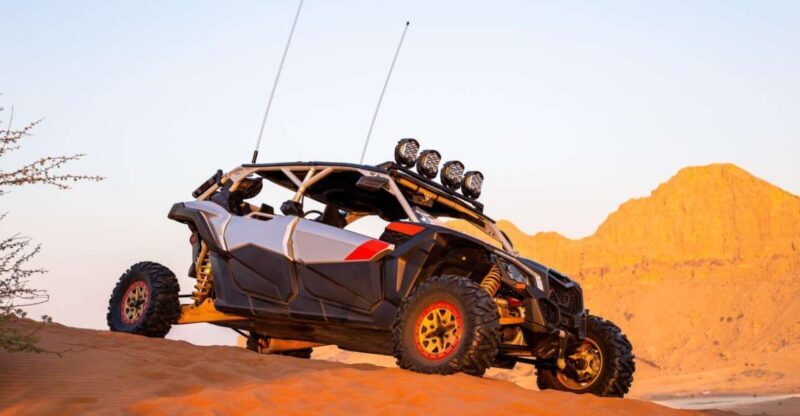 From Agadir: Sahara Desert Buggy Tour with Snack & Transfer - Authentic Experiences and Customer Feedback