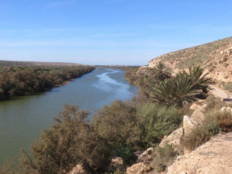 From Agadir: Sous Massa National Park Desert Safari w/Lunch - The Practical Side: What Travelers Should Know