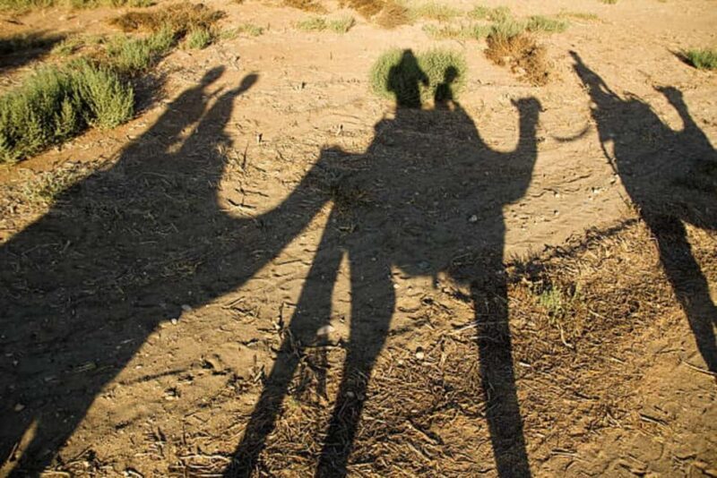 From Agadir: Sunset Camel Ride with BBQ Dinner and Transfers - A Balanced Look at the Experience