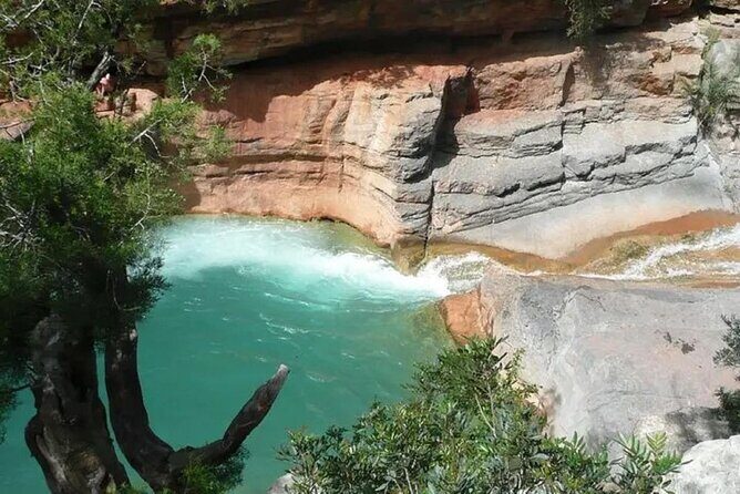 From Agadir & Taghazout: Paradise Valley Adventure Tour - Key Points
