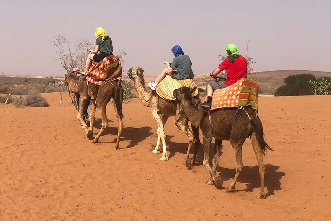 From Agadir/Taghazout: Sahara Sand Dunes  Morning or Sunset Tour - Key Points