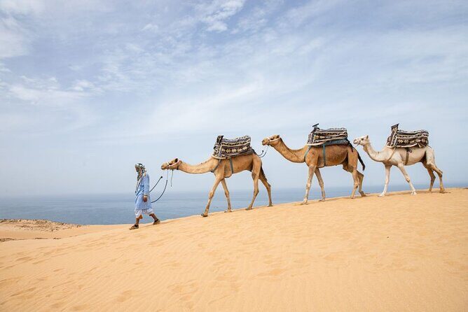 From Agadir/Taghazout: Sahara Sand Dunes  Morning or Sunset Tour - What Travelers Say