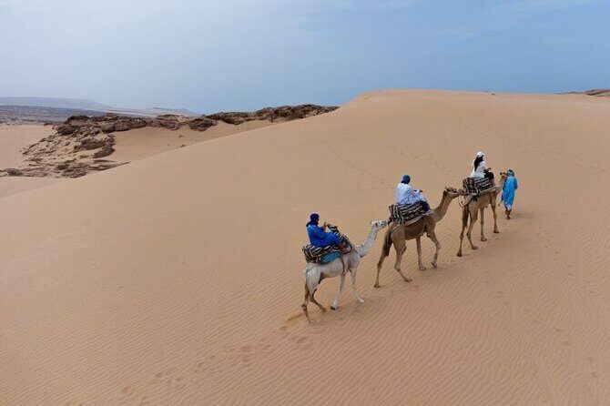 From Agadir/Taghazout: Sahara Sand Dunes  Morning or Sunset Tour - Who Should Consider This Tour?