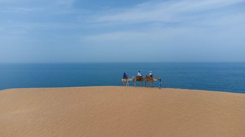 From Agadir/Taghazout: Sahara Sand Dunes with Transfer - Authenticity and Personal Touches