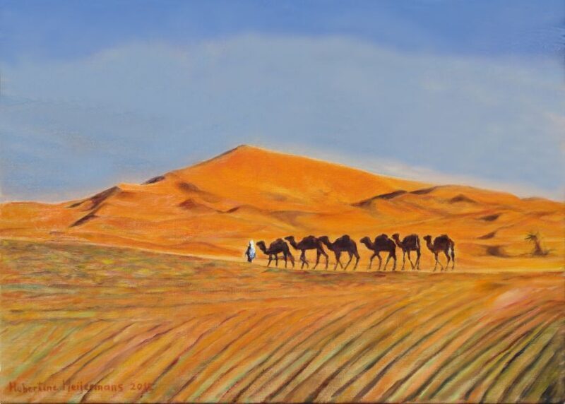 From Agadir/Taghazout: Sahara Sand Dunes with Transfer - Practical Tips for Travelers