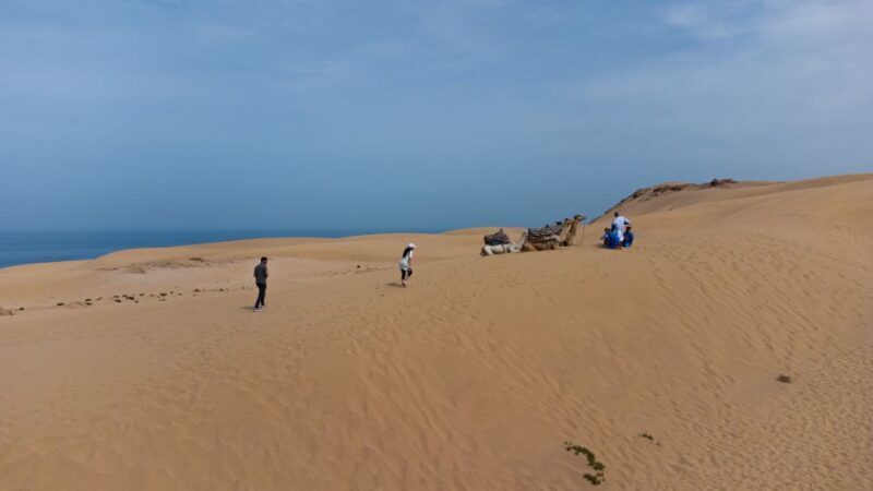From Agadir/Taghazout: Sahara Sand Dunes with Transfer - Who Would Enjoy This Tour?