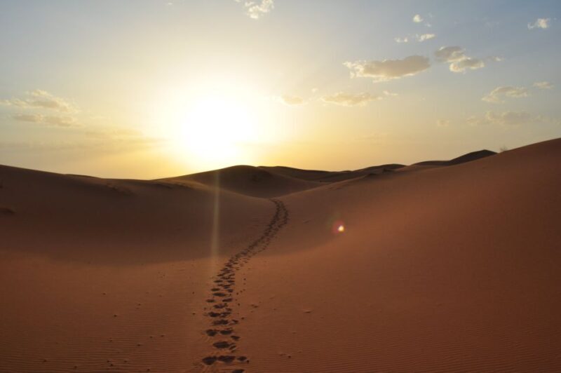 From Agadir/Taghazout: Sahara Sand Dunes with Transfer - Final Thoughts