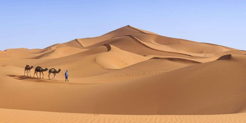 From Agadir/Taghazout: Sahara Sand Dunes with Transfer - Who Is This Tour Best For?