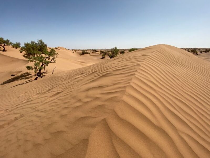 From Agadir/Tamraght/Taghazout: Sandoarding in Sand Dunes - The Sum Up
