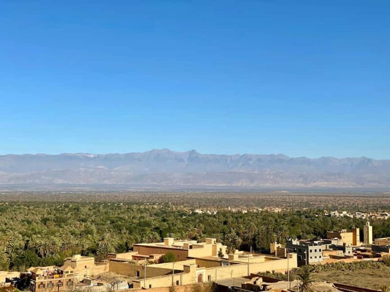 From Agadir: Taroudant and Tiout Day Tour with Lunch - Tiout: An Oasis of Palm Trees and Relaxation