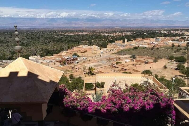 From Agadir: Taroudant and Tiout Day Tour with Lunch - Final Thoughts: Who Is This Tour For?