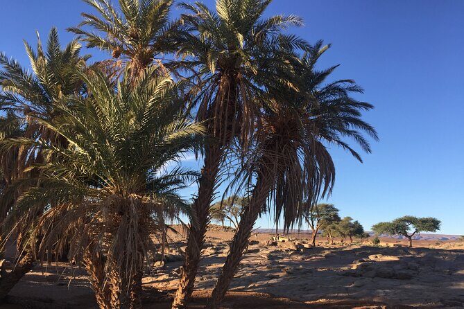 From Agadir to Marrakech: Private 5 Days Luxury Desert Tour to Merzouga - FAQ