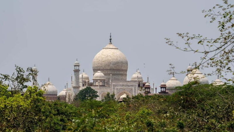 From Agra - Skip the Line: Taj Mahal & Agra Fort Tour by Car - Final Thoughts: Who Will Love This Tour?
