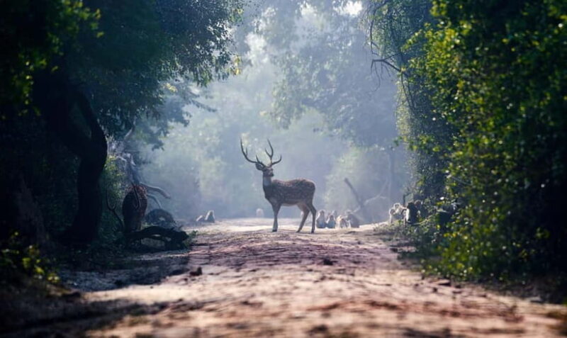 From Agra: Taj Mahal, Fatehpur Sikri & Bird Safari Tour - Practical Details and What You Should Know