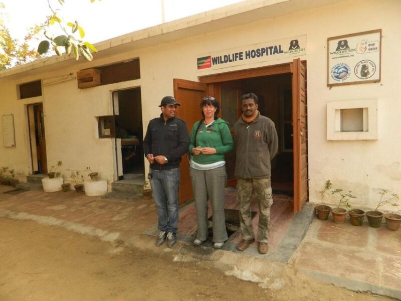 From Agra: Visit to Wildlife SOS Elephant Conservation Trip - Practical Details