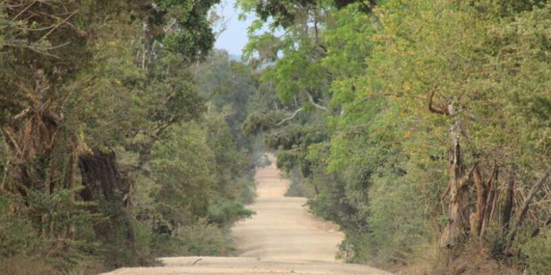 From: Ahungalla/Ambalangoda/Kosgoda/Balapitiya - YALA Safari - Frequently Asked Questions