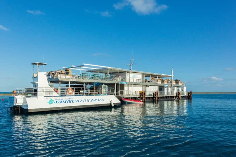 From Airlie Beach: Great Barrier Reef Adventure Cruise - What’s Noteworthy? Practical Tips