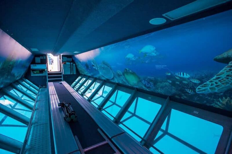 From Airlie Beach: Great Barrier Reef Adventure Cruise - The Sum Up
