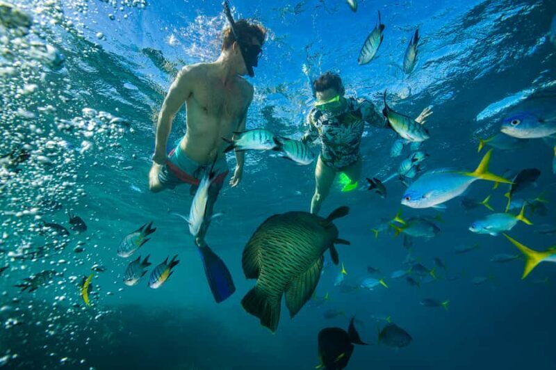 From Airlie Beach: Hook Island Cultural Tour, Sail & Snorkel - The Sum Up