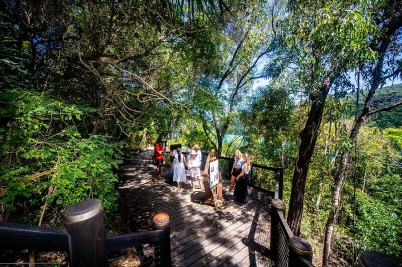 From Airlie Beach: Hook Island Cultural Tour, Sail & Snorkel - FAQ