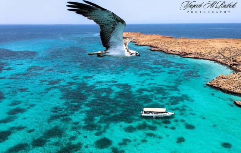 From Al-Seeb: Dimaniyat Islands Boat Trip with Snorkeling - An In-Depth Look at the Dimaniyat Islands Snorkeling Experience