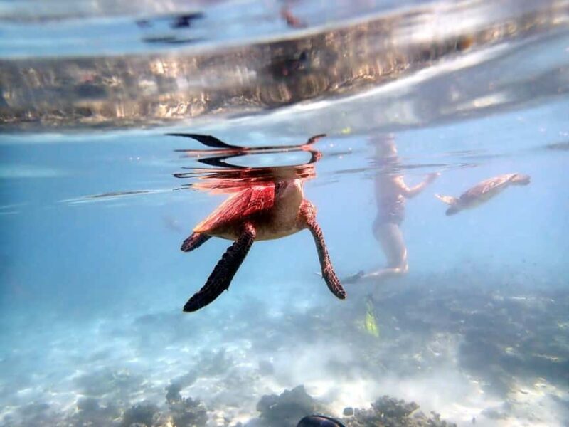 From Al-Seeb: Dimaniyat Islands Boat Trip with Snorkeling - Final Thoughts: Why Choose This Tour?