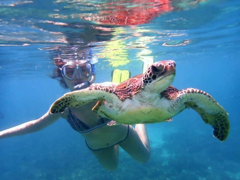 From Al-Seeb: Dimaniyat Islands Boat Trip with Snorkeling - Final Words