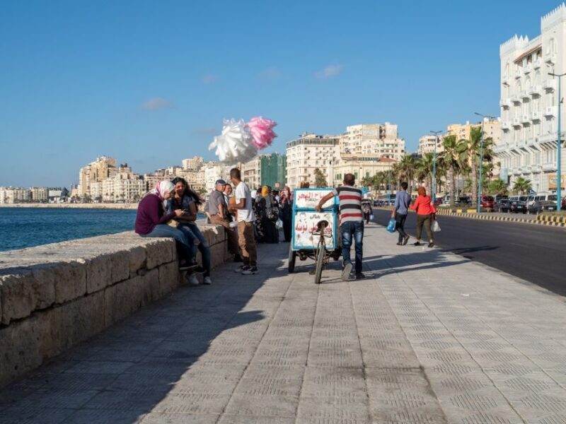 From Alexandria:- Alexandria Top Highlights half-day tour - An In-Depth Look at the Alexandria Top Highlights Tour