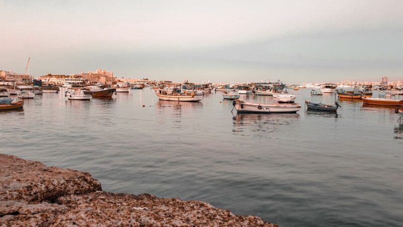 From Alexandria: Highlights of Alexandria Full City Tour - Key Points
