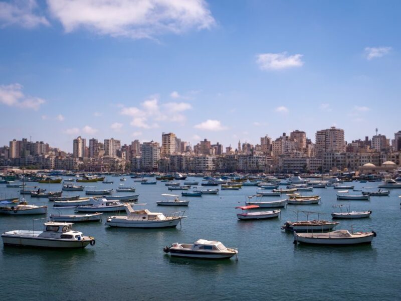 From Alexandria: Highlights of Alexandria Full City Tour - A Deep Dive into the Alexandria Full City Tour