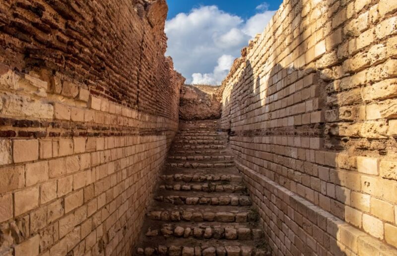 From Alexandria: Highlights of Alexandria Full City Tour - The Sum Up